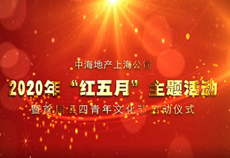 熱血青春：企業青年紅色團日活動