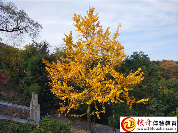 Sew-電機(jī)（蘇州）有限公司10/15周年員工主題拓展新聞報(bào)道