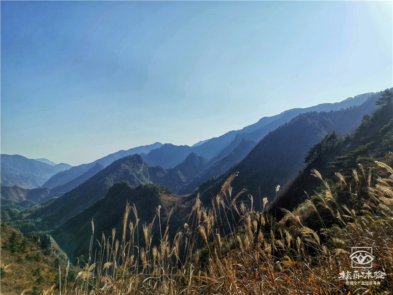 晶櫻光電十周年慶典“高效工作  快樂生活”主題團建活動